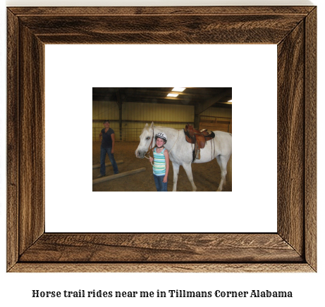 horse trail rides near me in Tillmans Corner, Alabama